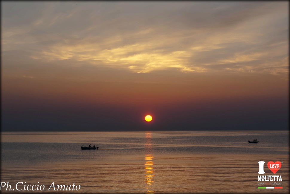 Molfetta in un clic...