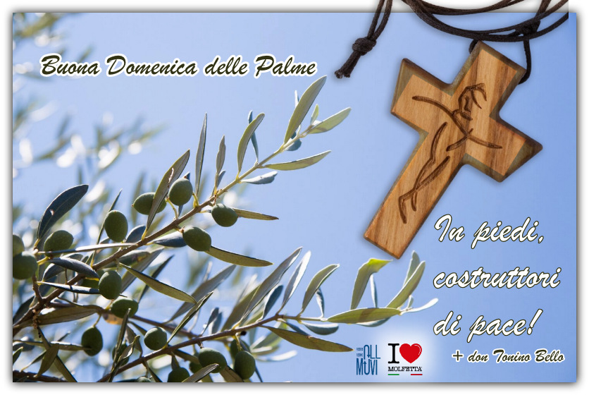 Domenica delle Palme: il gesto che unisce Molfetta al mondo