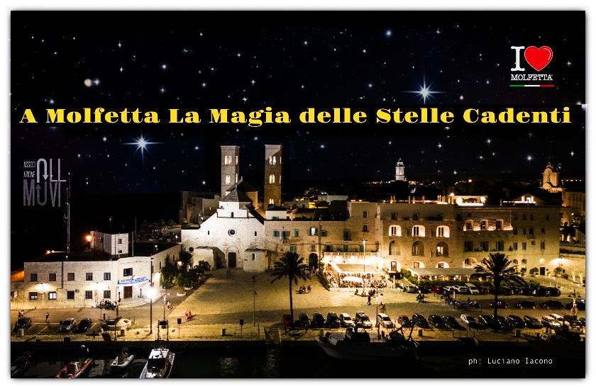 La notte di San Lorenzo: le stelle cadenti protagoniste del cielo 