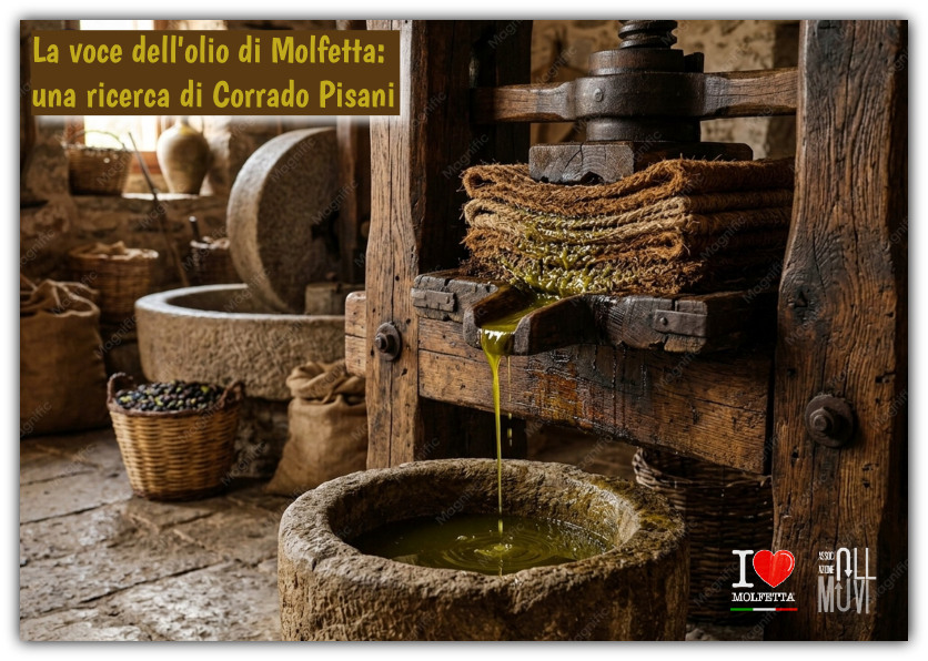 La voce dell olio di Molfetta: una ricerca di Corrado Pisani