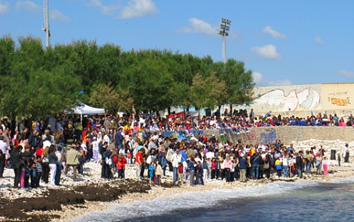 Liberazione di tartarughe marine a Molfetta