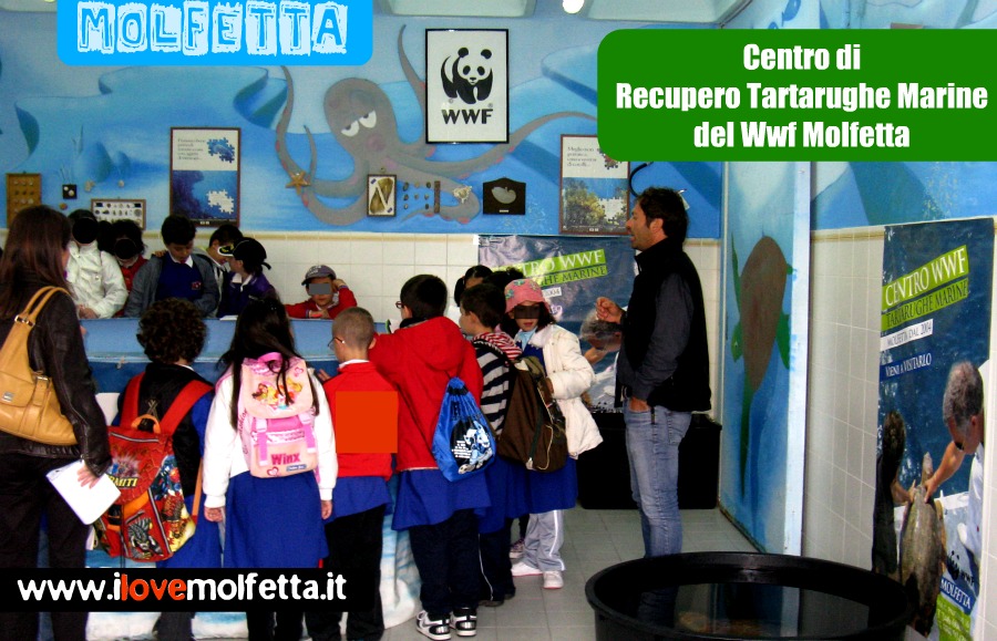 Visite didattiche al WWF Molfetta