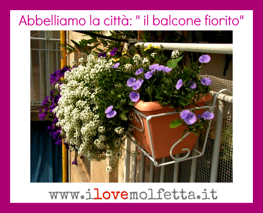 Il balcone fiorito 