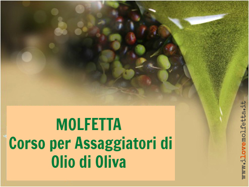 Assaggiatori  di Olio di Oliva Vergine