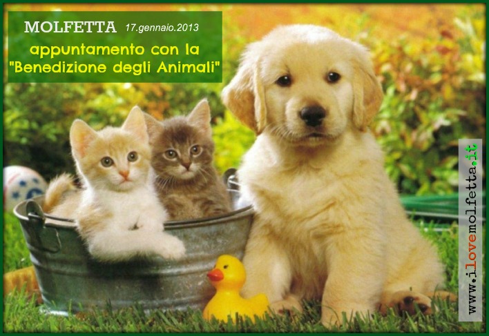 La Benedizione degli Animali