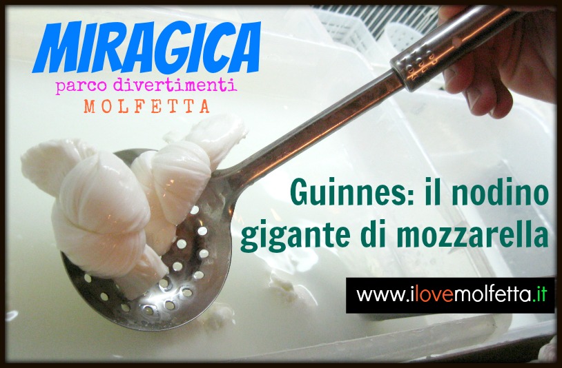 Guinnes: il nodino gigante di mozzarella