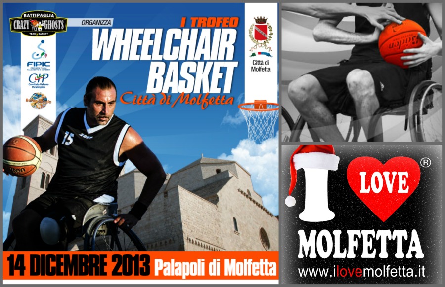 Trofeo wheelchair-basket 