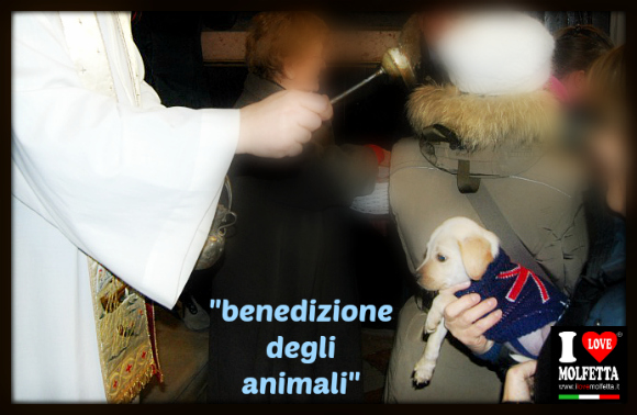 Benedizione degli animali