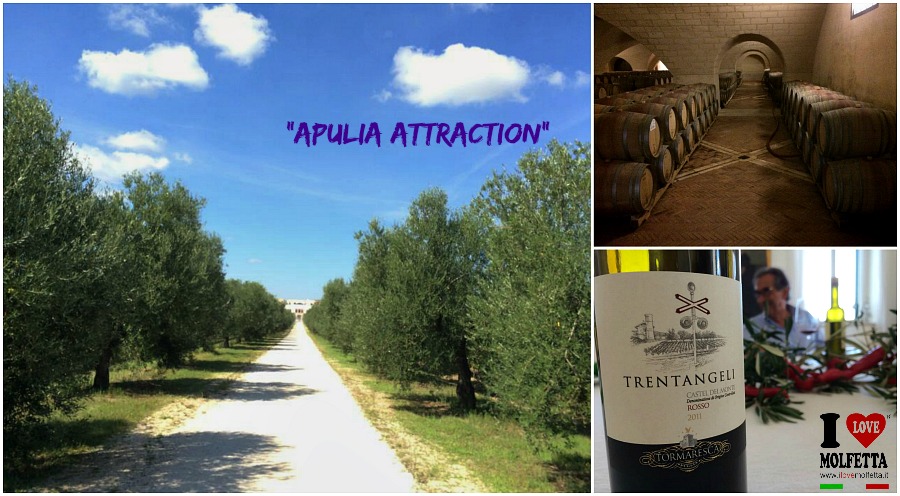 Apulia Attraction visita le Cantine Tormaresca