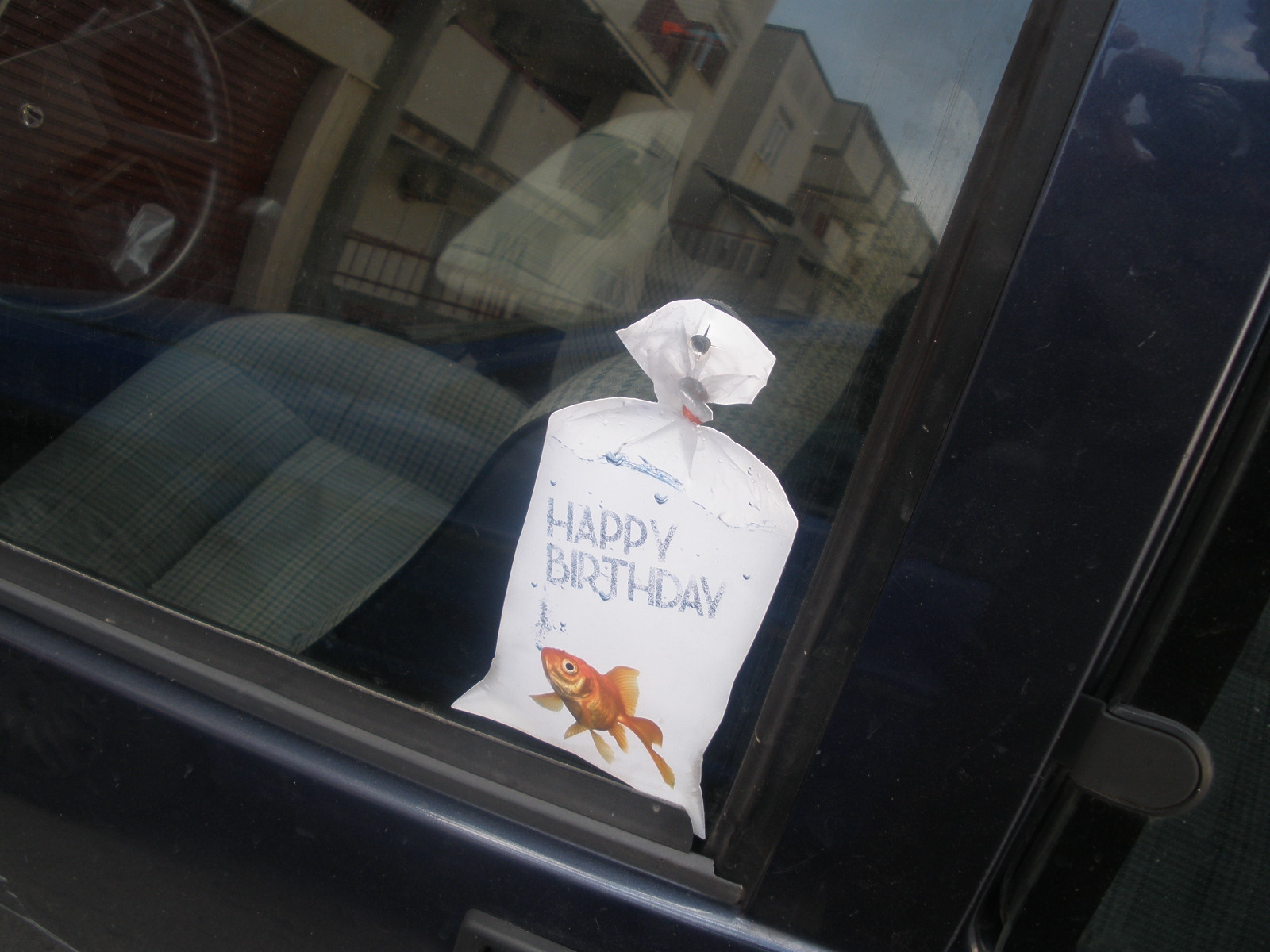 A Molfetta un pesce d�aprile tutto da ricordare e�collezionare