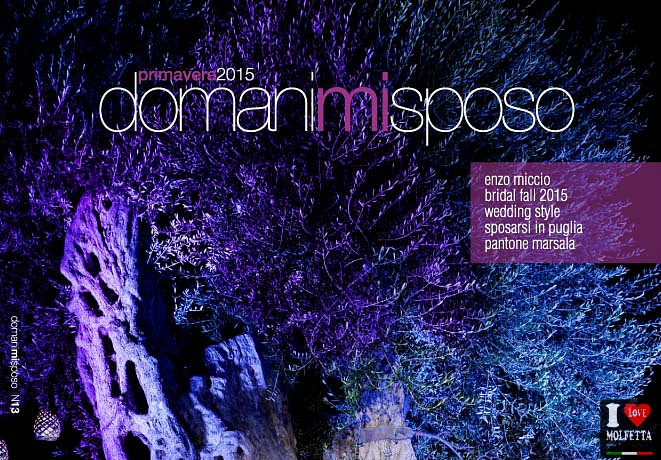 Domanimisposo il magazine