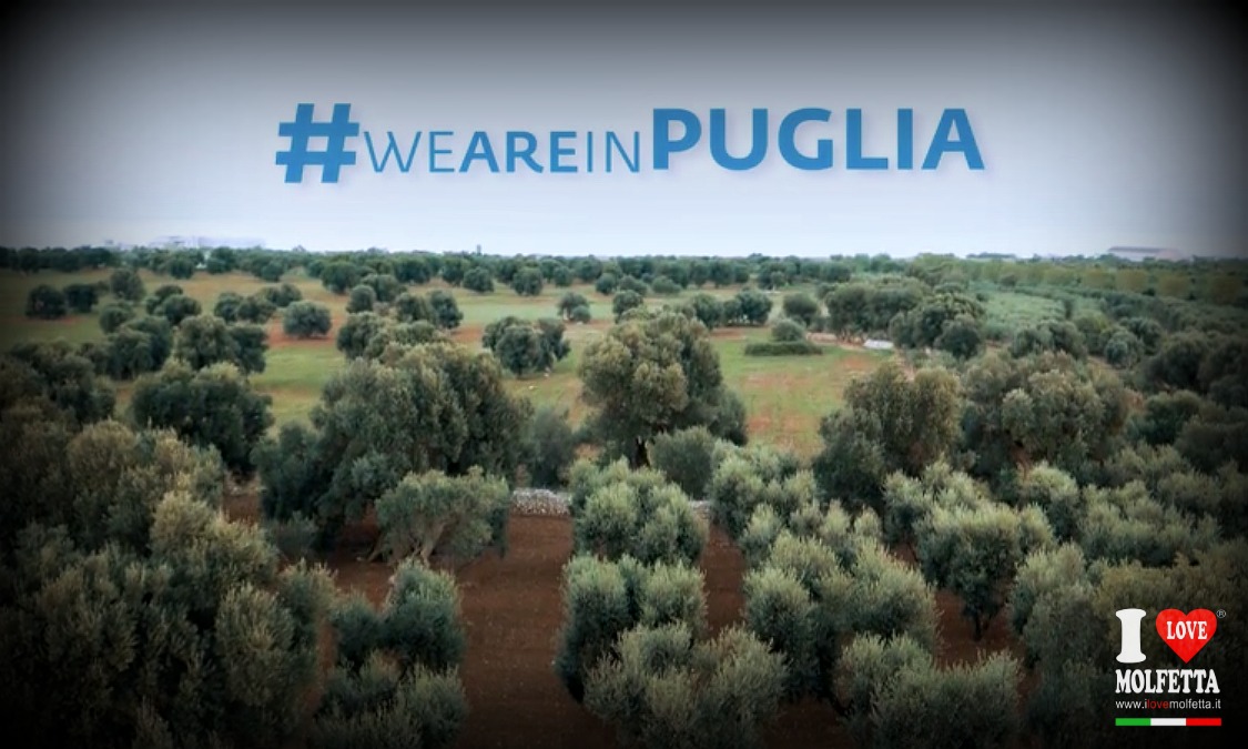 Puglia da amare: lo spot