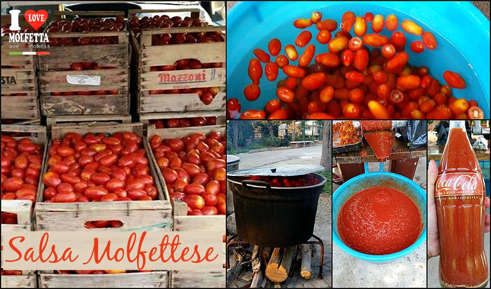 Molfetta in salsa... di pomodori