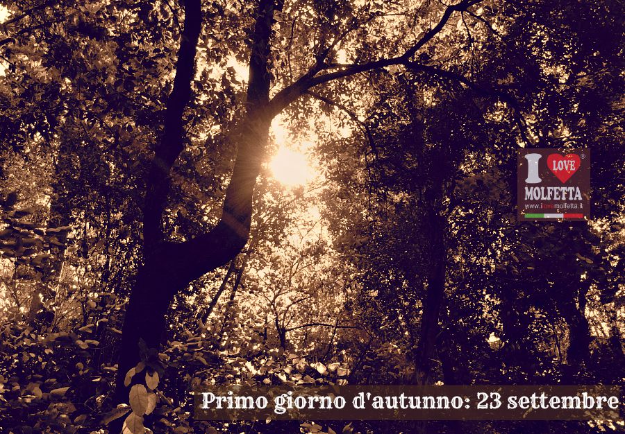 Primo giorno d'autunno: 23 settembre