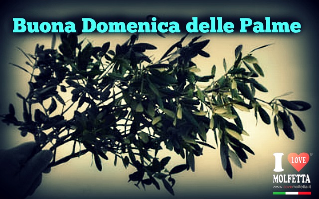 Buona domenica delle palme a tutti