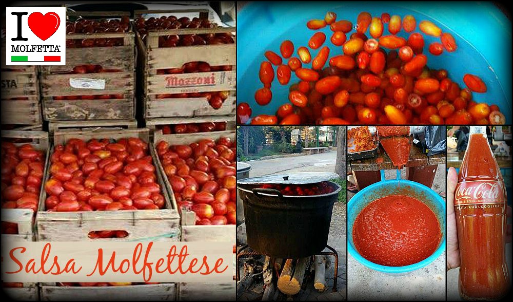 Molfetta a ritmo di... salsa