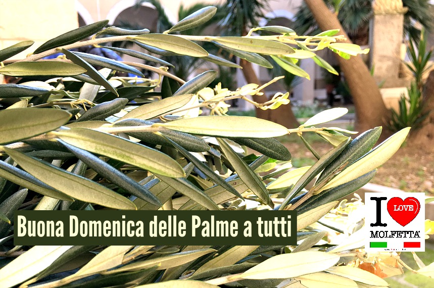 Buona Domenica delle Palme a tutti