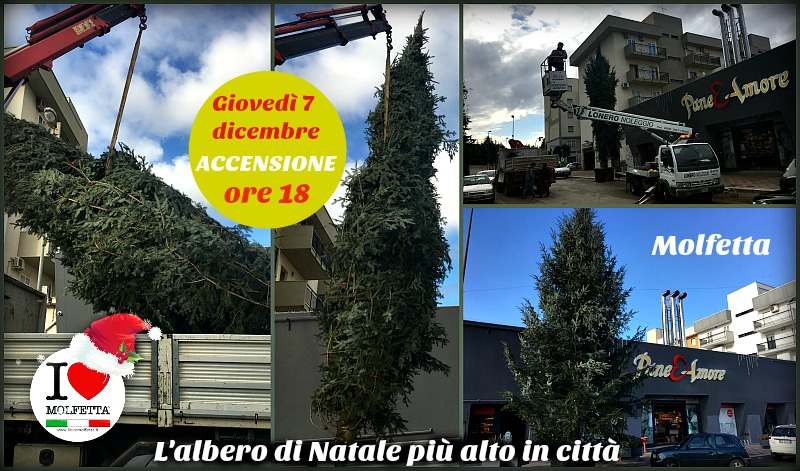 A Molfetta un albero di Natale alto 12 metri