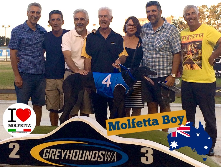 The Champion: Molfetta Boy story