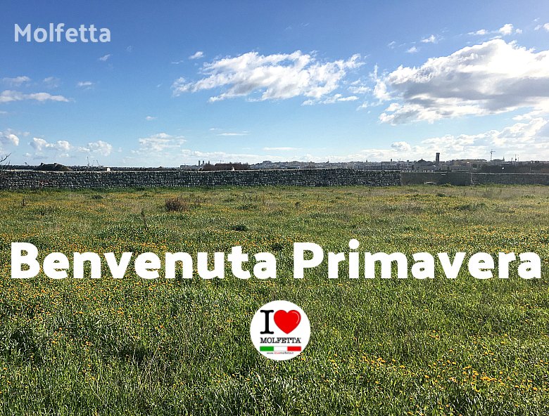 Benvenuta primavera...