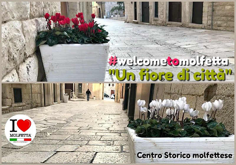 Molfetta nel centro storico... si fa bella