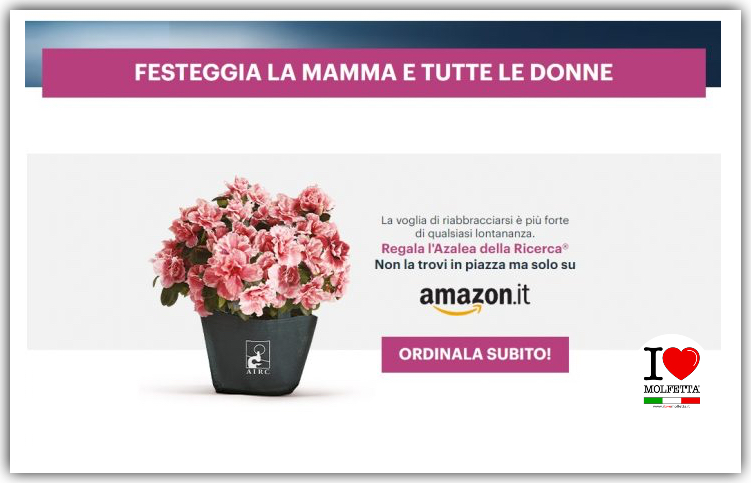 In occasione della Festa della Mamma ritorna: la pianta Azalea AIRC