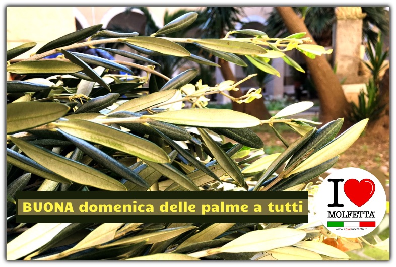 Buona domenica delle palme da Molfetta nel mondo