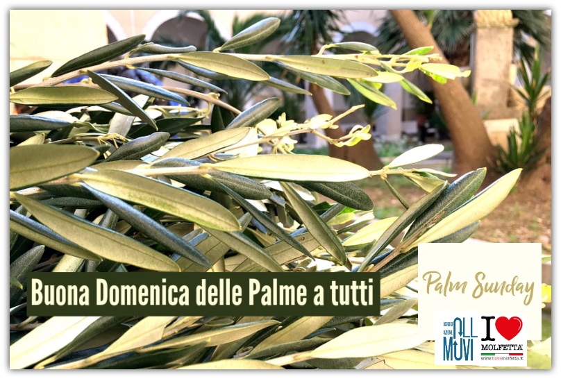 Buona domenica delle Palme a tutti