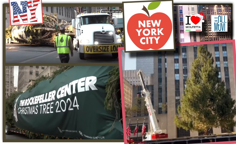 Posizionato il grande Albero di Natale a New York, al Rockfeller Center